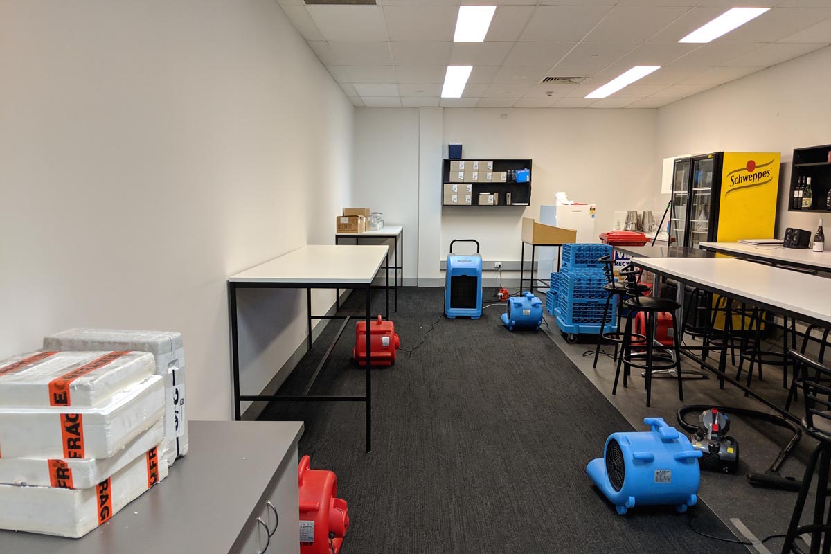 Carpet Drying Kinglake West