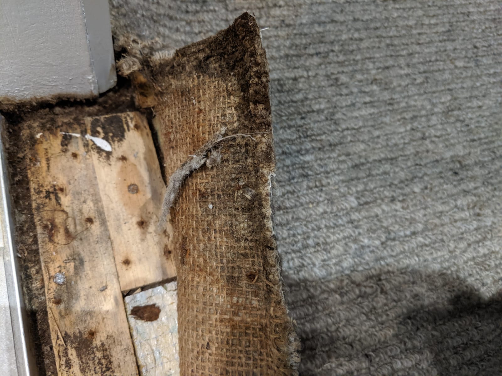 Mould Inspections Bundoora